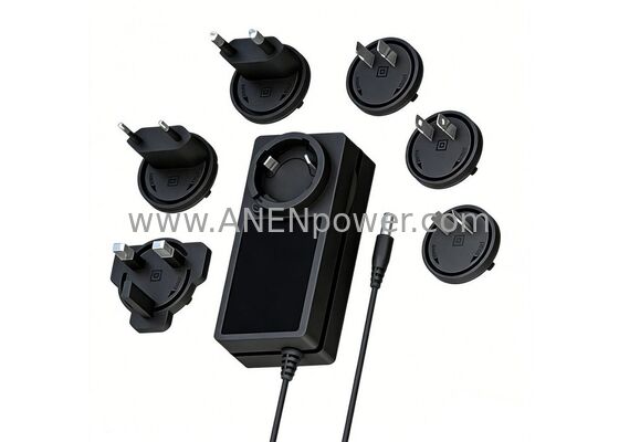 Chine Adaptateur électrique interchangeable à sortie multiple de 60 W, 5V 12A, 12V 5A, 15V 4A, 24V 2,5A pour ordinateurs portables, tablettes, systèmes LED fournisseur